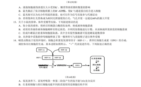 高三生物试卷_2025年12月_251206浙江县域教研联盟2025学年第一学期12月高三模拟考试（全科）_浙江县域教研联盟2025学年第一学期12月高三模拟考试生物