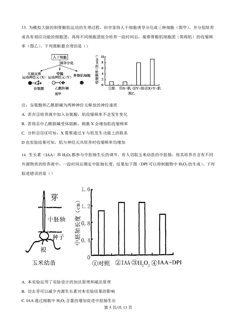 2025高考四川卷生物真题试卷_1.高考2025全国各省真题+答案_00.2025各省市高考真题及答案（按省份分类）_17、四川卷（9科全）_生物