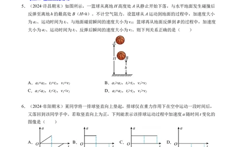 专题05自由落体运动和抛体运动（新高考通用）（原卷版）_1多考区联考试卷_0108好题汇编备战2024-2025学年高一物理上学期期末真题分类汇编（新高考通用）