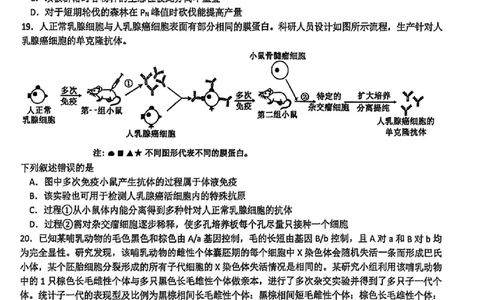 生物卷-2512学军中学_2025年12月_251230浙江省杭州学军中学2025-2026学年高三上学期首考适应性考试