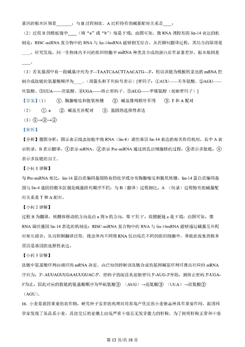 天津市八所重点学校高三毕业班联-生物解析版_2024届天津市八所重点学校高三毕业班联