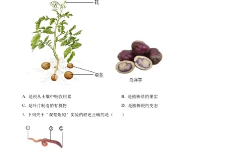 精品解析：2023年四川省凉山彝族自治州中考生物真题（原卷版）(1)_中考真题_8.生物中考真题2015-2024年_2023年全国中考生物7.20_精品解析：2023年四川省凉山彝族自治州中考生物真题