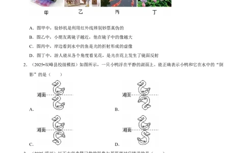 2026年中考物理常考考点专题之光现象_162026年中考七科常考考点专题资料_004中考物理常考考点专题