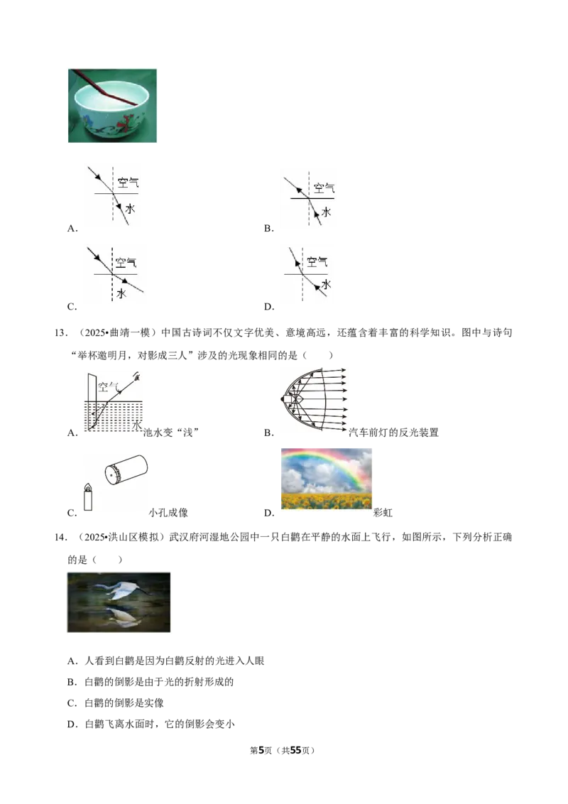 2026年中考物理常考考点专题之光现象_162026年中考七科常考考点专题资料_004中考物理常考考点专题