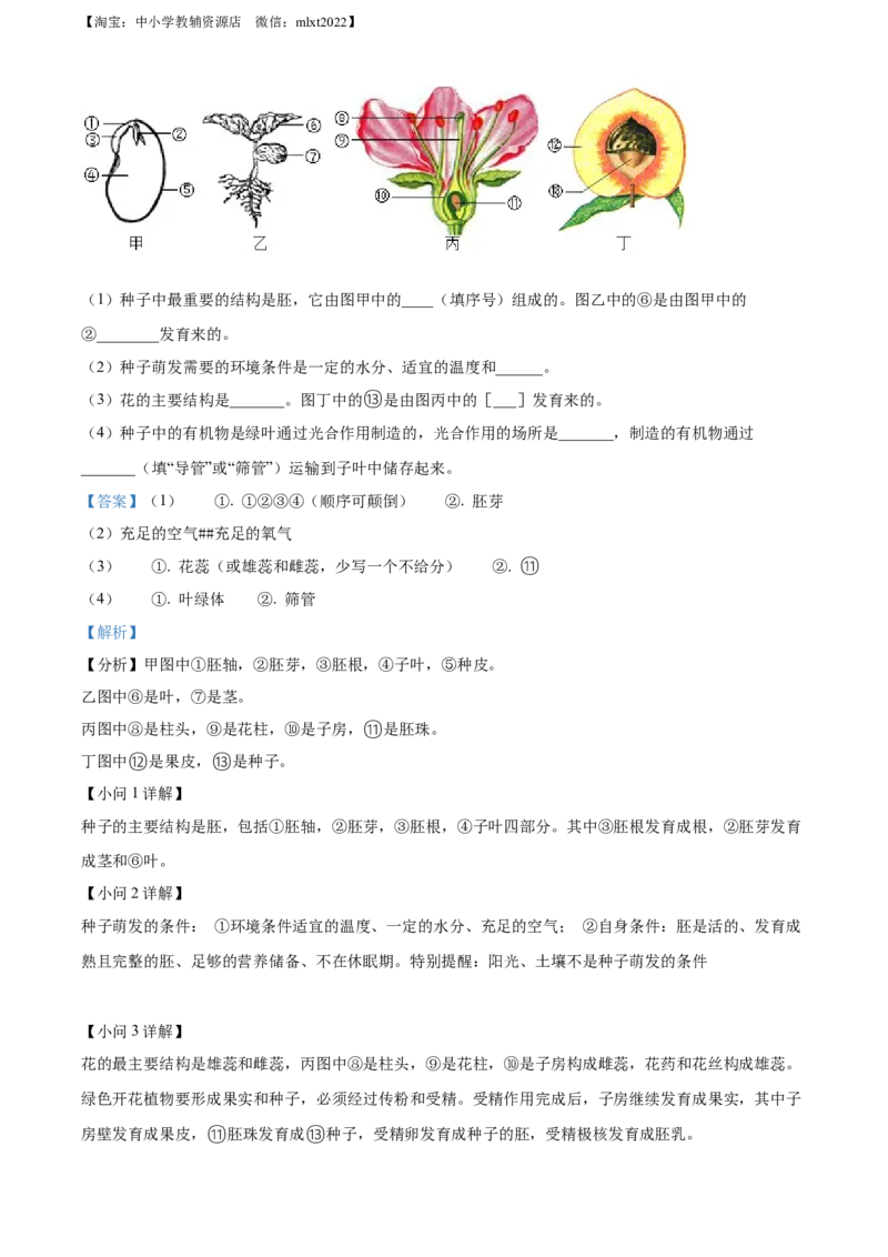 精品解析：2022年辽宁省营口市中考生物真题（解析版）_中考真题_8.生物中考真题2015-2024年_2022年全国中考生物114份14