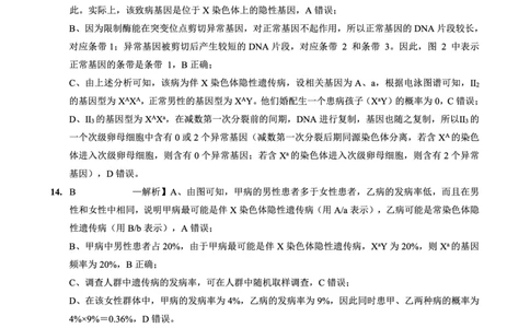 重庆实验外国语学校2025-2026学年度（上）高2026届10月月考（四）生物答案_251101重庆实验外国语学校2025-2026学年度（上）高2026届10月月考（四）（全科）