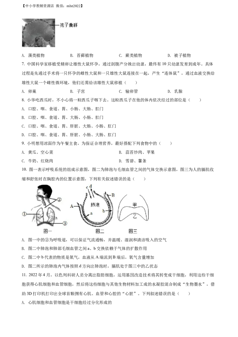 精品解析：2022年湖南省益阳市中考生物真题（原卷版）_中考真题_8.生物中考真题2015-2024年_2022年全国中考生物114份14