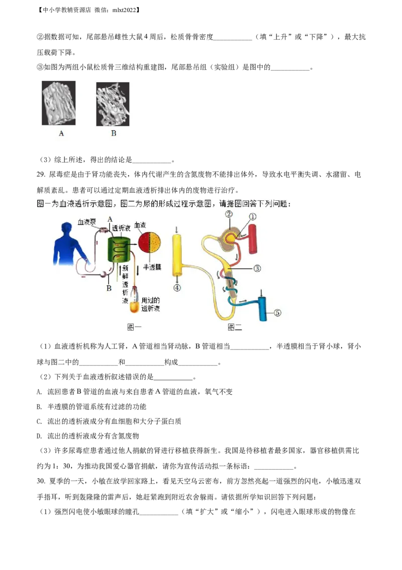 精品解析：2022年湖南省益阳市中考生物真题（原卷版）_中考真题_8.生物中考真题2015-2024年_2022年全国中考生物114份14
