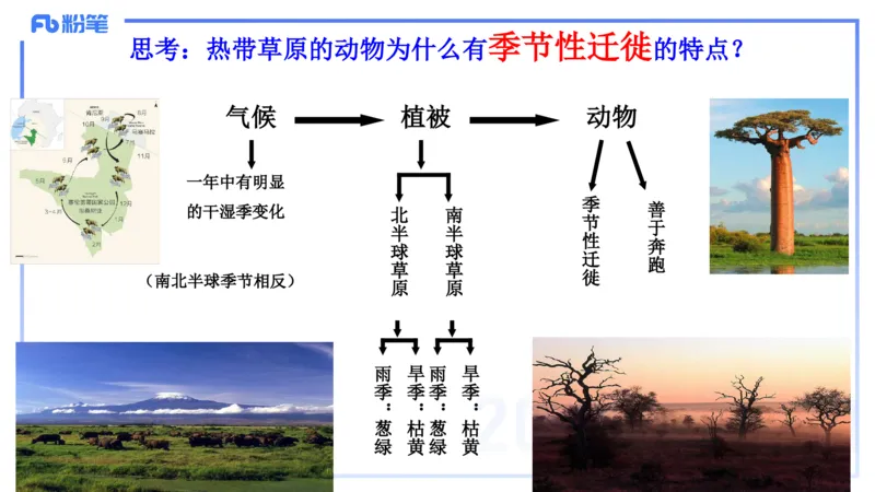 理论精讲15-区域地理2智伟_4-教培资料-26年最新资料-同步更新_初中高中教资_03科三专项（进去保存报考的学科即可）_01科目三FB网课、三色速记手册、知识点导图等推荐_初中
