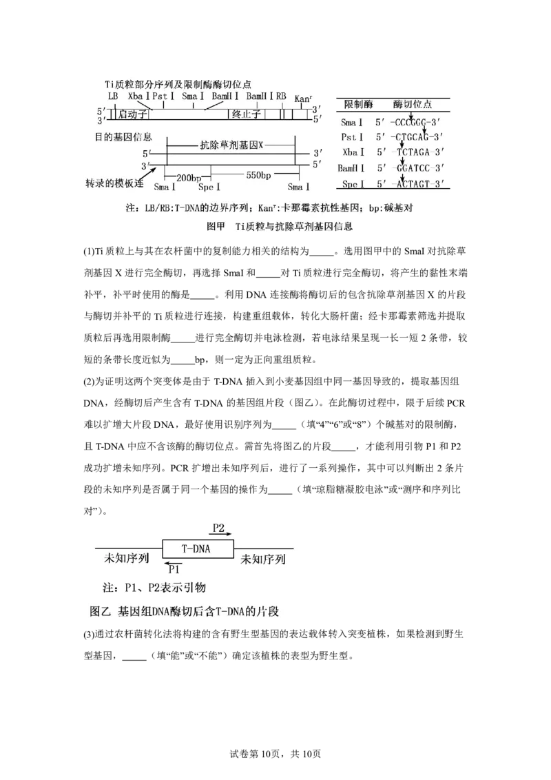 山东2025年高考山东卷生物高考真题文档版（含答案）-A4答案卷尾_1.高考2025全国各省真题+答案_9.高考生物真题答案更新中