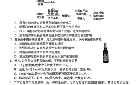 理综1-9_2024届四川省南充市高三上学期一诊考试_四川省南充市2024届高三上学期一诊考试理综