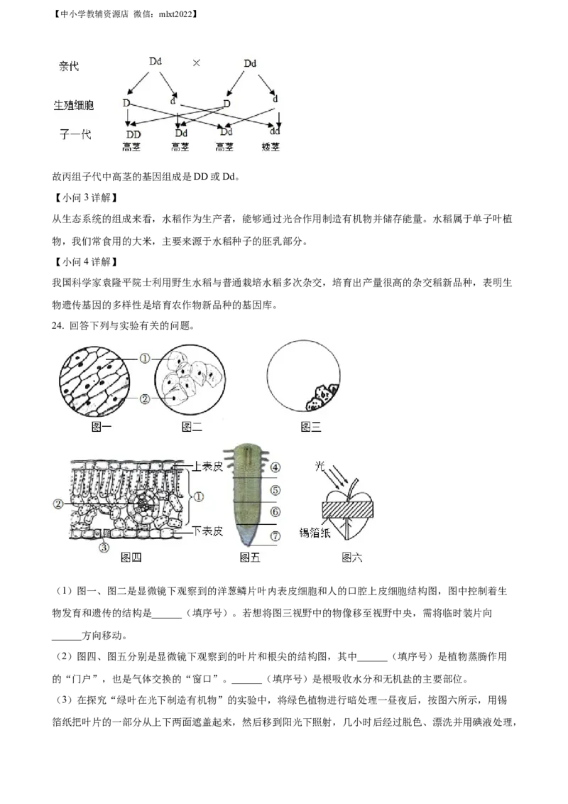 精品解析：2022年辽宁省阜新市中考生物真题（解析版）_中考真题_8.生物中考真题2015-2024年_2022年全国中考生物114份14