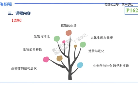 理论精讲21-教学论2-拾光_4-教培资料-26年最新资料-同步更新_初中高中教资_03科三专项（进去保存报考的学科即可）_01科目三FB网课、三色速记手册、知识点导图等推荐_初中
