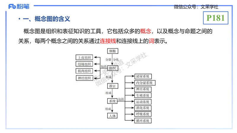 理论精讲21-教学论2-拾光_4-教培资料-26年最新资料-同步更新_初中高中教资_03科三专项（进去保存报考的学科即可）_01科目三FB网课、三色速记手册、知识点导图等推荐_初中