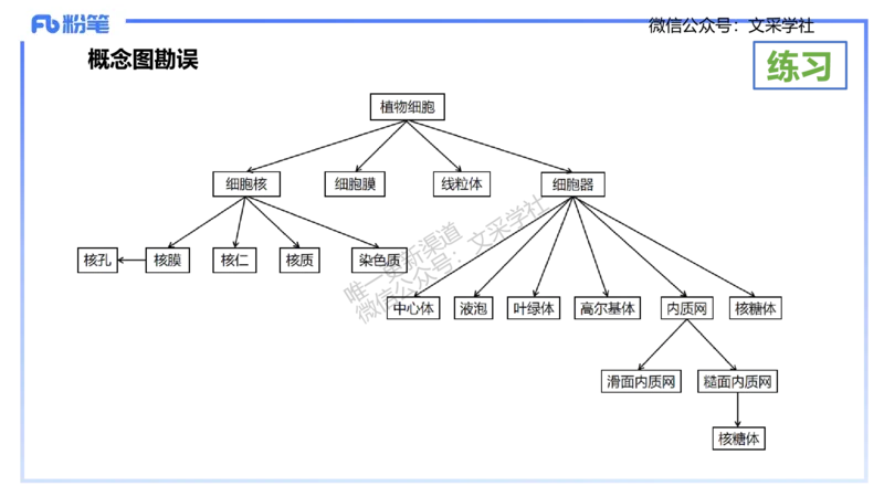 理论精讲21-教学论2-拾光_4-教培资料-26年最新资料-同步更新_初中高中教资_03科三专项（进去保存报考的学科即可）_01科目三FB网课、三色速记手册、知识点导图等推荐_初中