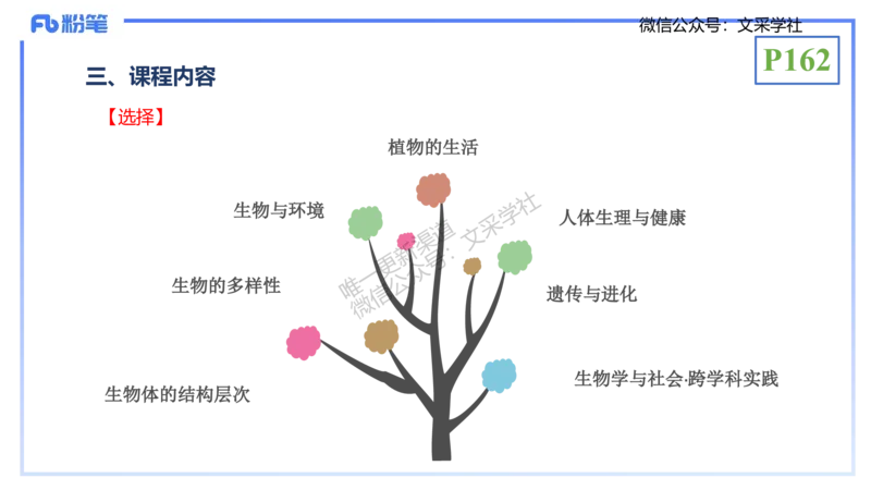 理论精讲21-教学论2-拾光_4-教培资料-26年最新资料-同步更新_初中高中教资_03科三专项（进去保存报考的学科即可）_01科目三FB网课、三色速记手册、知识点导图等推荐_初中