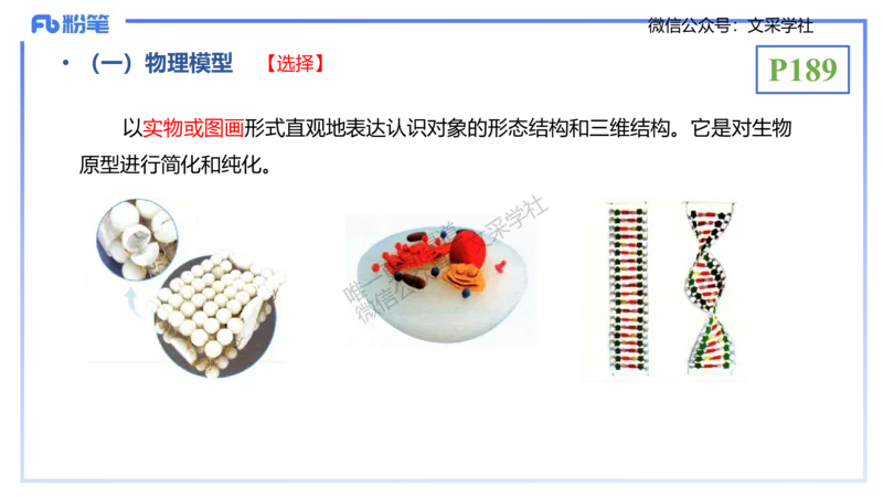 理论精讲21-教学论2-拾光_4-教培资料-26年最新资料-同步更新_初中高中教资_03科三专项（进去保存报考的学科即可）_01科目三FB网课、三色速记手册、知识点导图等推荐_初中