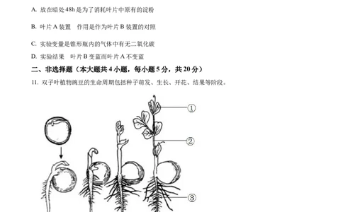 精品解析：2022年安徽省中考生物真题（原卷版）_中考真题_8.生物中考真题2015-2024年_2022年全国中考生物114份14