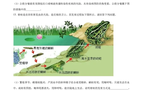 精品解析：2022年安徽省中考生物真题（原卷版）_中考真题_8.生物中考真题2015-2024年_2022年全国中考生物114份14