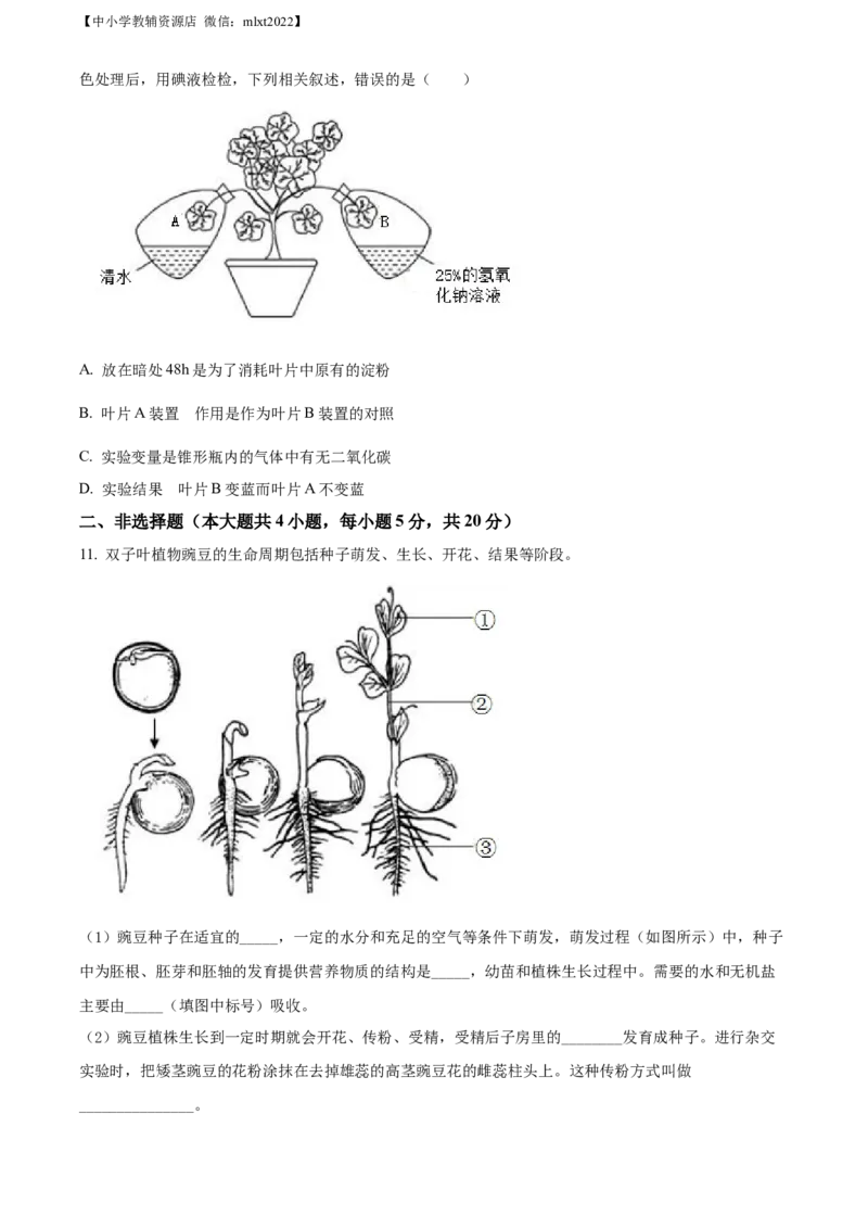 精品解析：2022年安徽省中考生物真题（原卷版）_中考真题_8.生物中考真题2015-2024年_2022年全国中考生物114份14