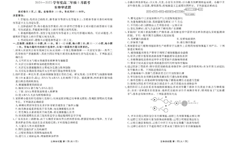 衡水金卷2024-2025学年度高二年级6月联考生物试题+答案_2025年6月_250613衡水金卷2024-2025学年度高二年级6月联考（全科）(1)