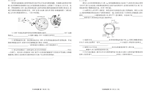 衡水金卷2024-2025学年度高二年级6月联考生物试题+答案_2025年6月_250613衡水金卷2024-2025学年度高二年级6月联考（全科）(1)