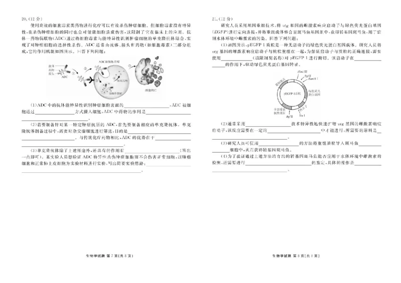 衡水金卷2024-2025学年度高二年级6月联考生物试题+答案_2025年6月_250613衡水金卷2024-2025学年度高二年级6月联考（全科）(1)