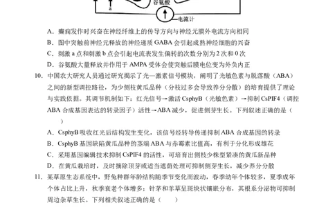 高三上期中考-生物-试卷_251107云南省玉溪第一中学2025-2026学年高三上学期期中考试（全科）_云南省玉溪第一中学2025-2026学年高三上学期期中考试生物Word版含答案、答题卡