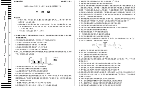 生物学专版A卷天一大联考&middot;陕西甘肃省2025-2026学年（上）高三年级顶尖计划（二）_2025年12月_251211河南省、陕西甘肃省2025-2026学年（上）高三年级顶尖计划（二）（全科）