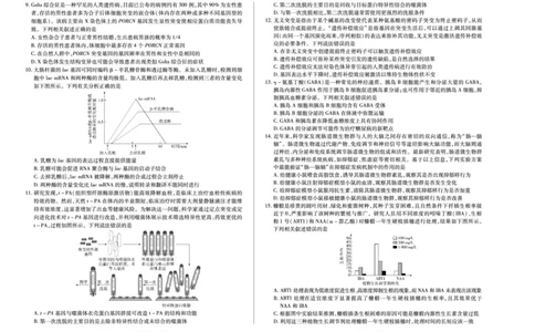 生物学专版A卷天一大联考&middot;陕西甘肃省2025-2026学年（上）高三年级顶尖计划（二）_2025年12月_251211河南省、陕西甘肃省2025-2026学年（上）高三年级顶尖计划（二）（全科）