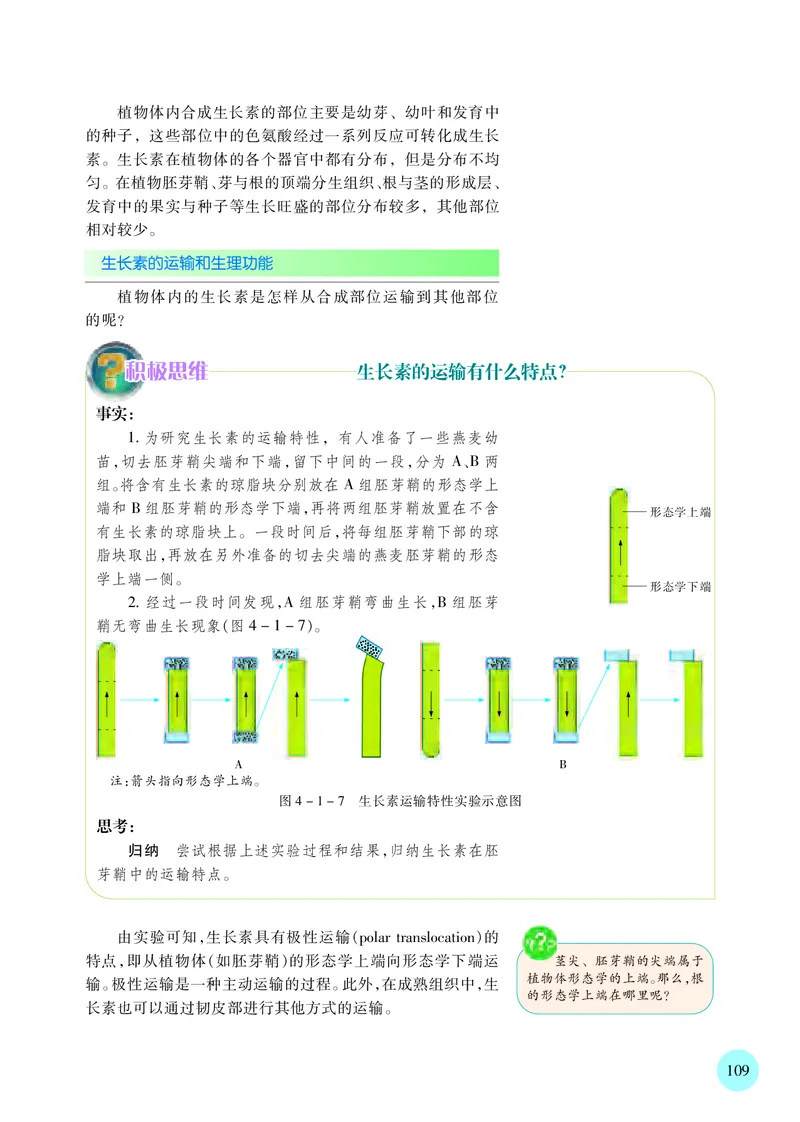苏教版生物选修1高清教材_4-教培资料-26年最新资料-同步更新_初中高中教资_03科三专项（进去保存报考的学科即可）_02科三专项（笔记真题思维导图教学设计版本二）