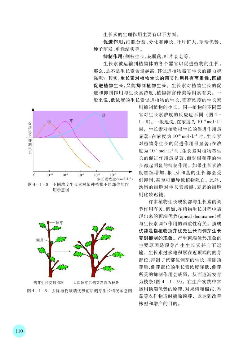 苏教版生物选修1高清教材_4-教培资料-26年最新资料-同步更新_初中高中教资_03科三专项（进去保存报考的学科即可）_02科三专项（笔记真题思维导图教学设计版本二）