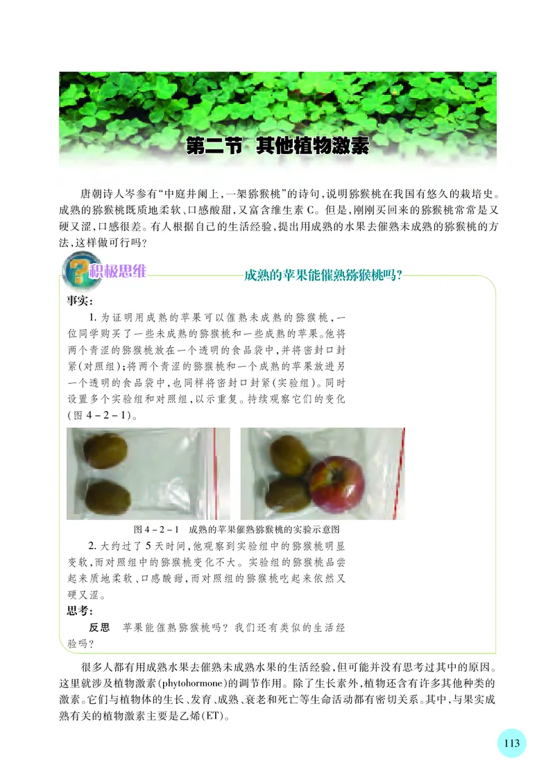 苏教版生物选修1高清教材_4-教培资料-26年最新资料-同步更新_初中高中教资_03科三专项（进去保存报考的学科即可）_02科三专项（笔记真题思维导图教学设计版本二）