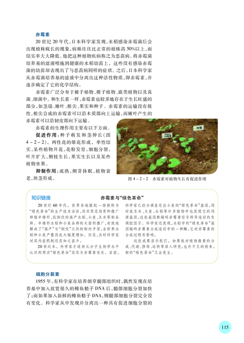 苏教版生物选修1高清教材_4-教培资料-26年最新资料-同步更新_初中高中教资_03科三专项（进去保存报考的学科即可）_02科三专项（笔记真题思维导图教学设计版本二）