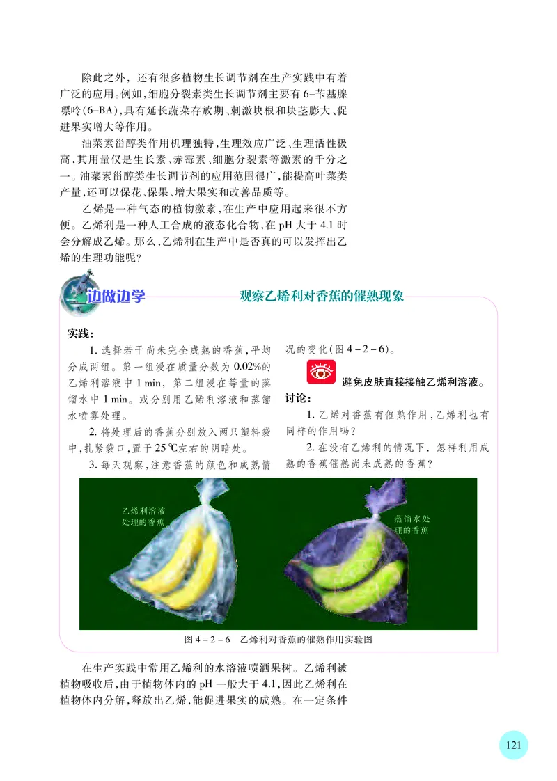 苏教版生物选修1高清教材_4-教培资料-26年最新资料-同步更新_初中高中教资_03科三专项（进去保存报考的学科即可）_02科三专项（笔记真题思维导图教学设计版本二）