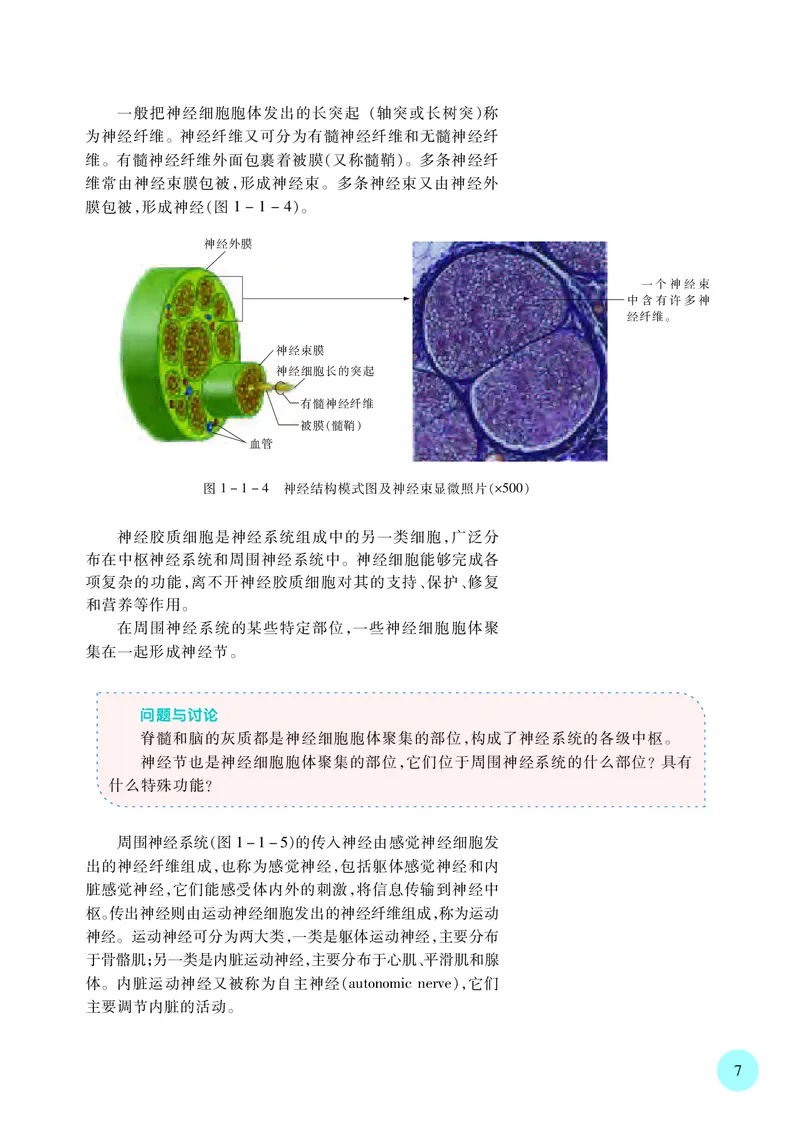 苏教版生物选修1高清教材_4-教培资料-26年最新资料-同步更新_初中高中教资_03科三专项（进去保存报考的学科即可）_02科三专项（笔记真题思维导图教学设计版本二）