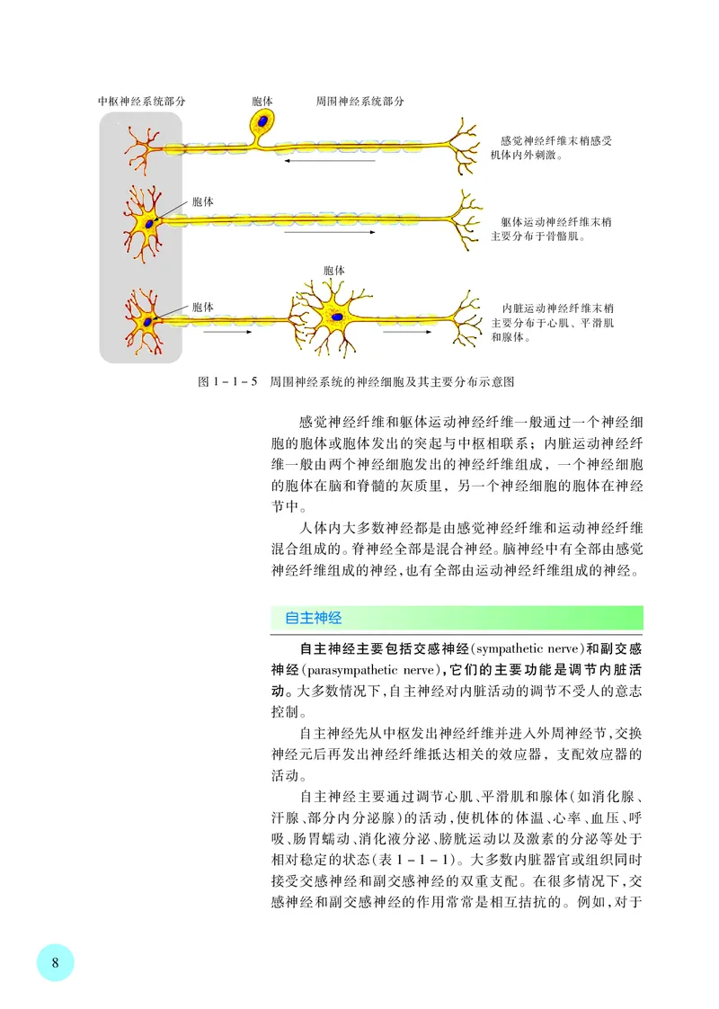 苏教版生物选修1高清教材_4-教培资料-26年最新资料-同步更新_初中高中教资_03科三专项（进去保存报考的学科即可）_02科三专项（笔记真题思维导图教学设计版本二）