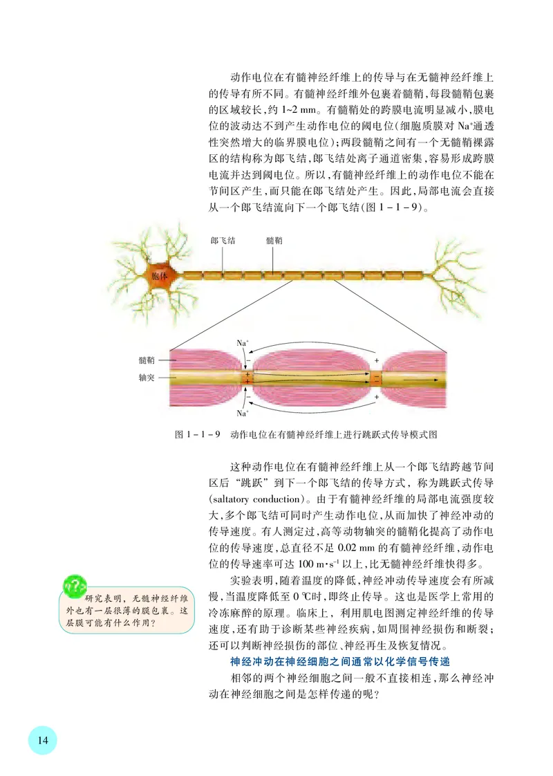 苏教版生物选修1高清教材_4-教培资料-26年最新资料-同步更新_初中高中教资_03科三专项（进去保存报考的学科即可）_02科三专项（笔记真题思维导图教学设计版本二）