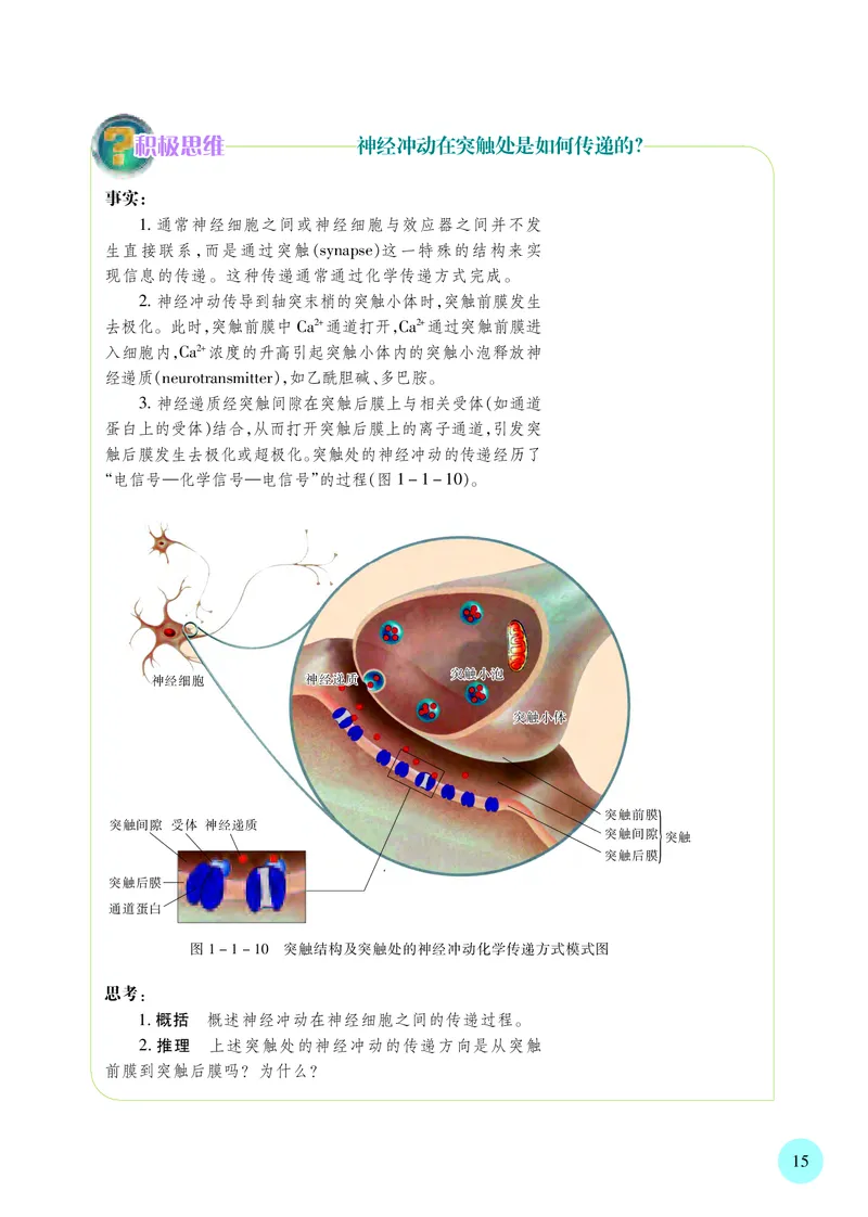 苏教版生物选修1高清教材_4-教培资料-26年最新资料-同步更新_初中高中教资_03科三专项（进去保存报考的学科即可）_02科三专项（笔记真题思维导图教学设计版本二）