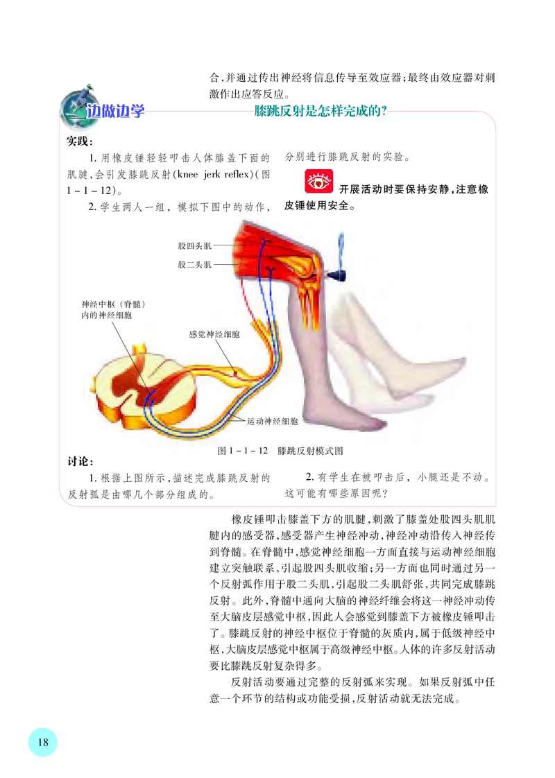 苏教版生物选修1高清教材_4-教培资料-26年最新资料-同步更新_初中高中教资_03科三专项（进去保存报考的学科即可）_02科三专项（笔记真题思维导图教学设计版本二）