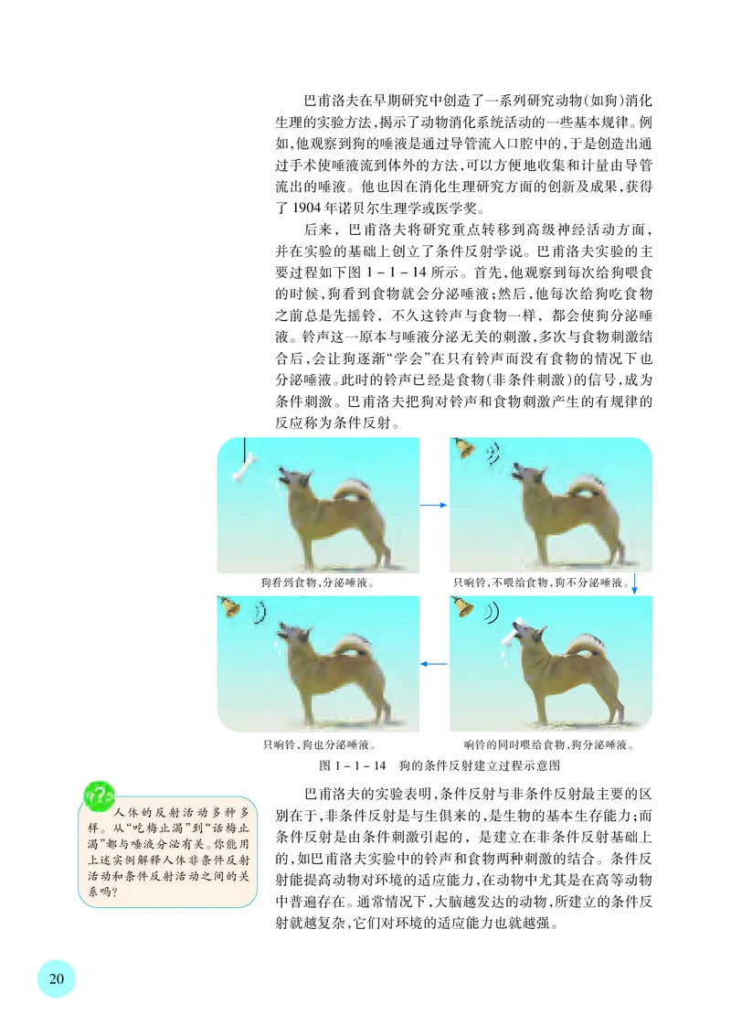 苏教版生物选修1高清教材_4-教培资料-26年最新资料-同步更新_初中高中教资_03科三专项（进去保存报考的学科即可）_02科三专项（笔记真题思维导图教学设计版本二）