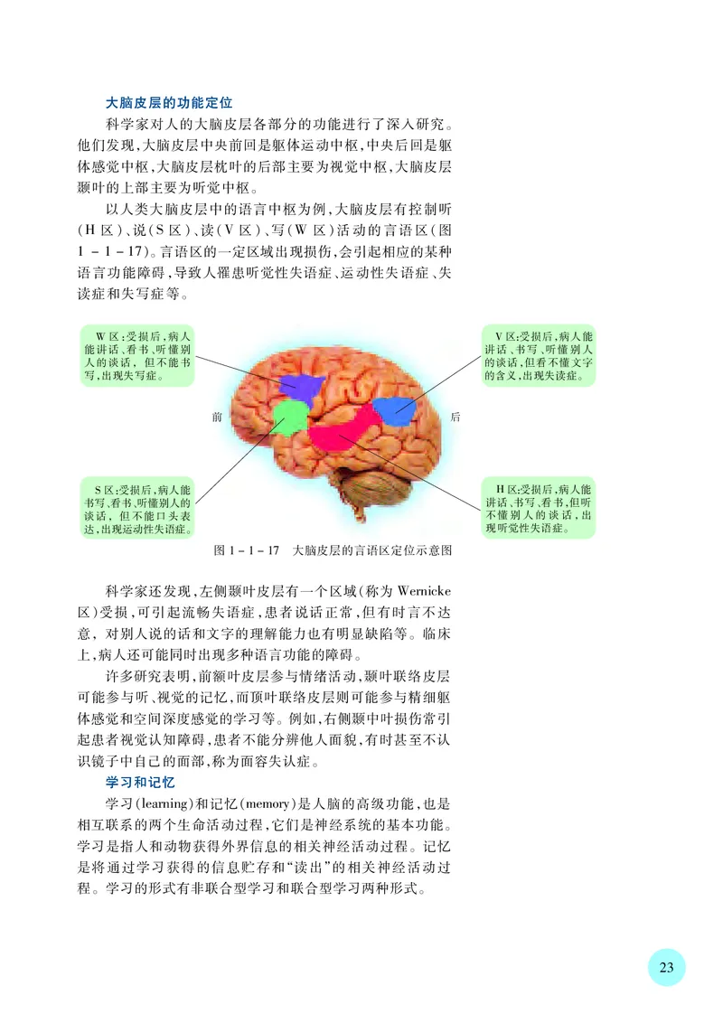 苏教版生物选修1高清教材_4-教培资料-26年最新资料-同步更新_初中高中教资_03科三专项（进去保存报考的学科即可）_02科三专项（笔记真题思维导图教学设计版本二）