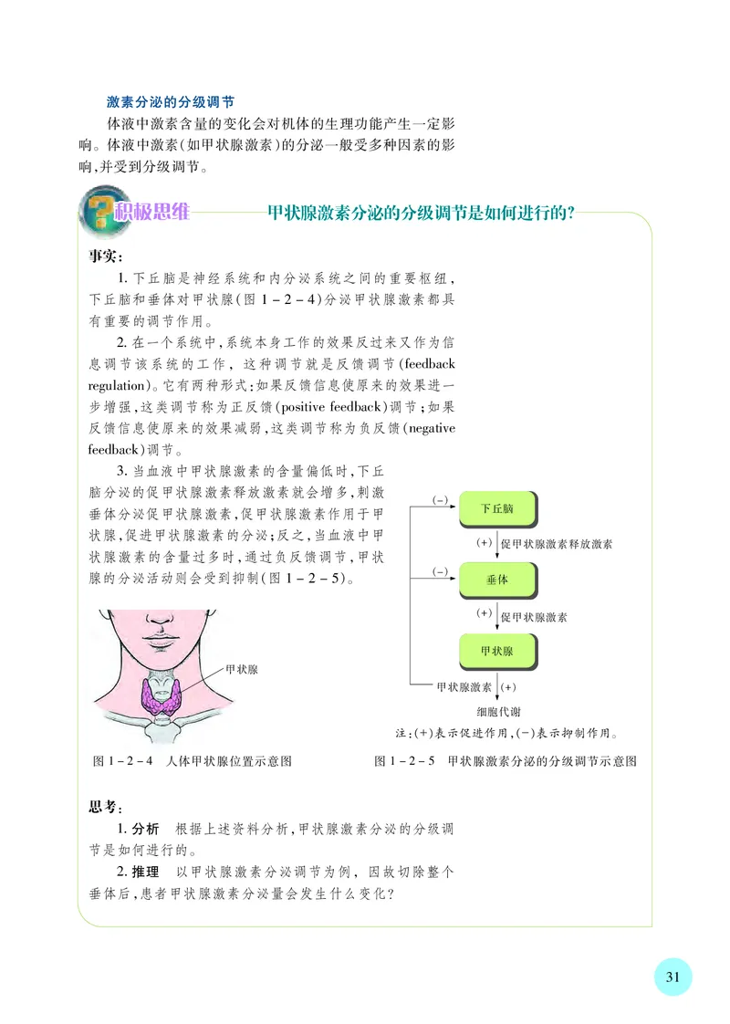 苏教版生物选修1高清教材_4-教培资料-26年最新资料-同步更新_初中高中教资_03科三专项（进去保存报考的学科即可）_02科三专项（笔记真题思维导图教学设计版本二）