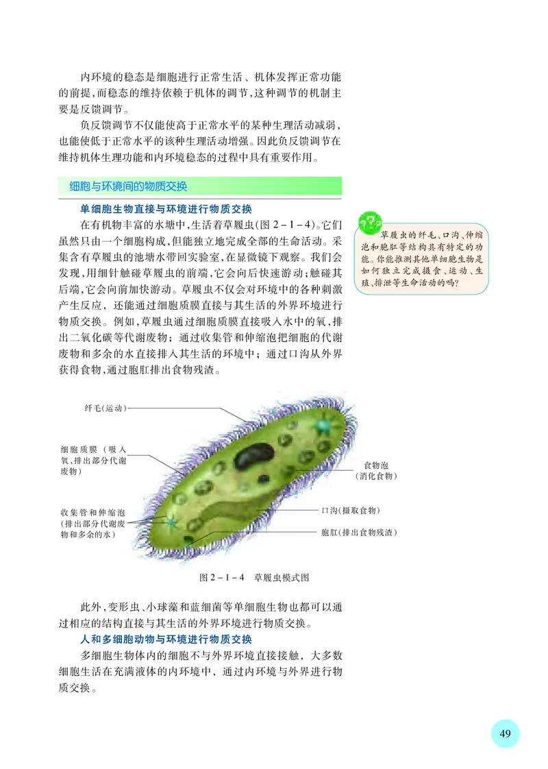 苏教版生物选修1高清教材_4-教培资料-26年最新资料-同步更新_初中高中教资_03科三专项（进去保存报考的学科即可）_02科三专项（笔记真题思维导图教学设计版本二）
