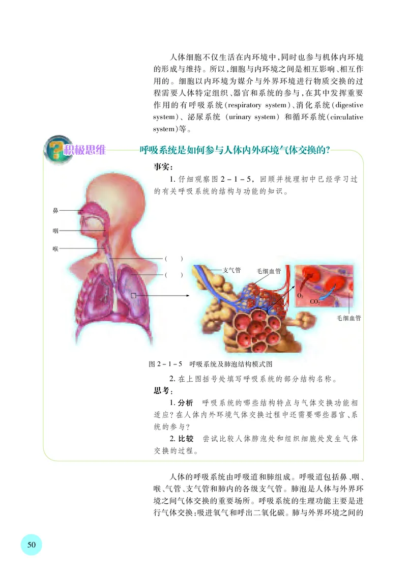 苏教版生物选修1高清教材_4-教培资料-26年最新资料-同步更新_初中高中教资_03科三专项（进去保存报考的学科即可）_02科三专项（笔记真题思维导图教学设计版本二）