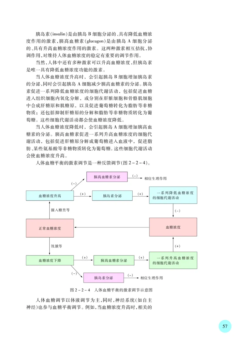 苏教版生物选修1高清教材_4-教培资料-26年最新资料-同步更新_初中高中教资_03科三专项（进去保存报考的学科即可）_02科三专项（笔记真题思维导图教学设计版本二）