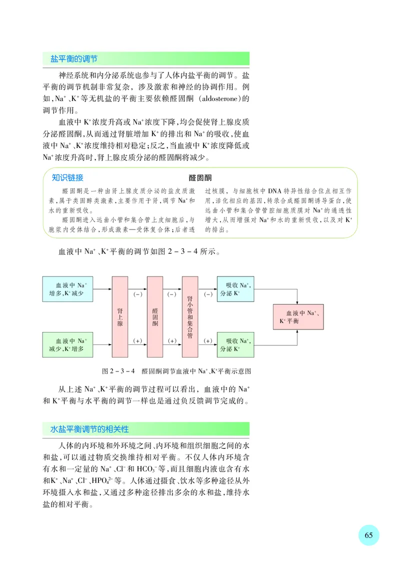苏教版生物选修1高清教材_4-教培资料-26年最新资料-同步更新_初中高中教资_03科三专项（进去保存报考的学科即可）_02科三专项（笔记真题思维导图教学设计版本二）
