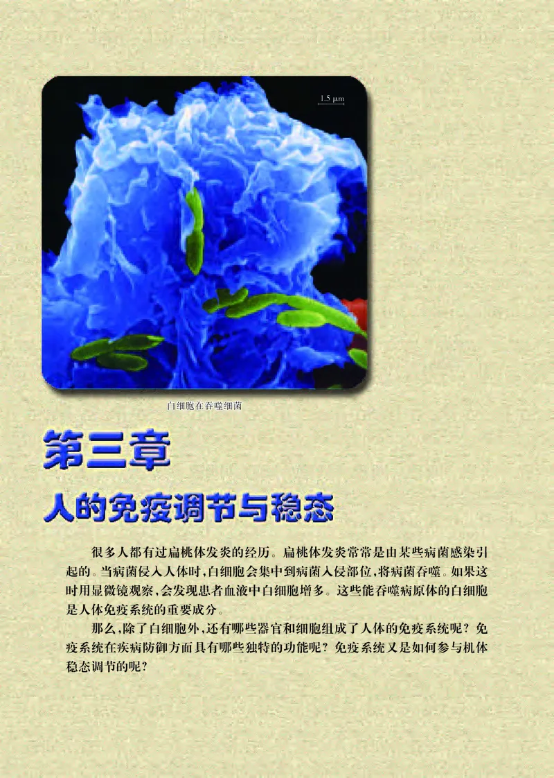 苏教版生物选修1高清教材_4-教培资料-26年最新资料-同步更新_初中高中教资_03科三专项（进去保存报考的学科即可）_02科三专项（笔记真题思维导图教学设计版本二）