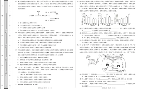 生物-2024届高三1月大联考考后强化卷（新高考卷）（新教材）（考试版）（黑龙江、吉林）_2024届高三1月大联考考后强化卷（新课标II卷）