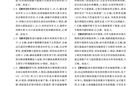 青桐鸣大联考2025-2026学年高三上学期11月联考生物答案_251115河南省青桐鸣大联考2025-2026学年高三上学期11月联考（全）